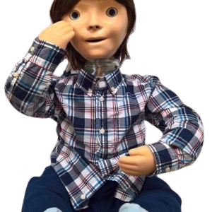 The Kaspar social robot