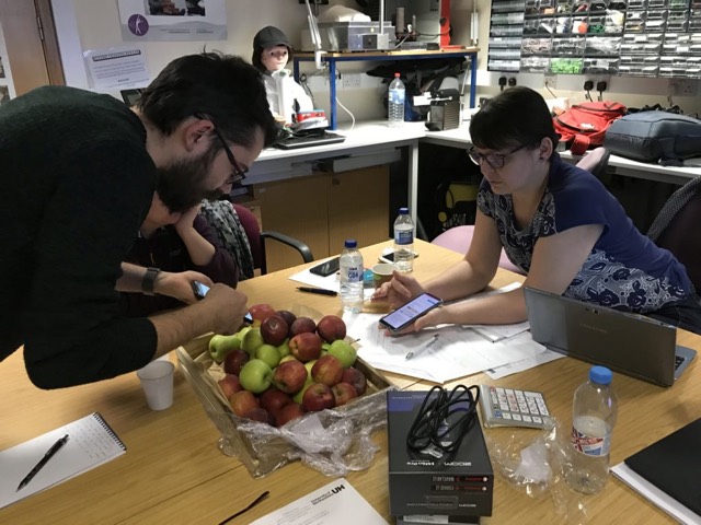 Staff training on the social robot Kaspar (LTT2) — photo 10
